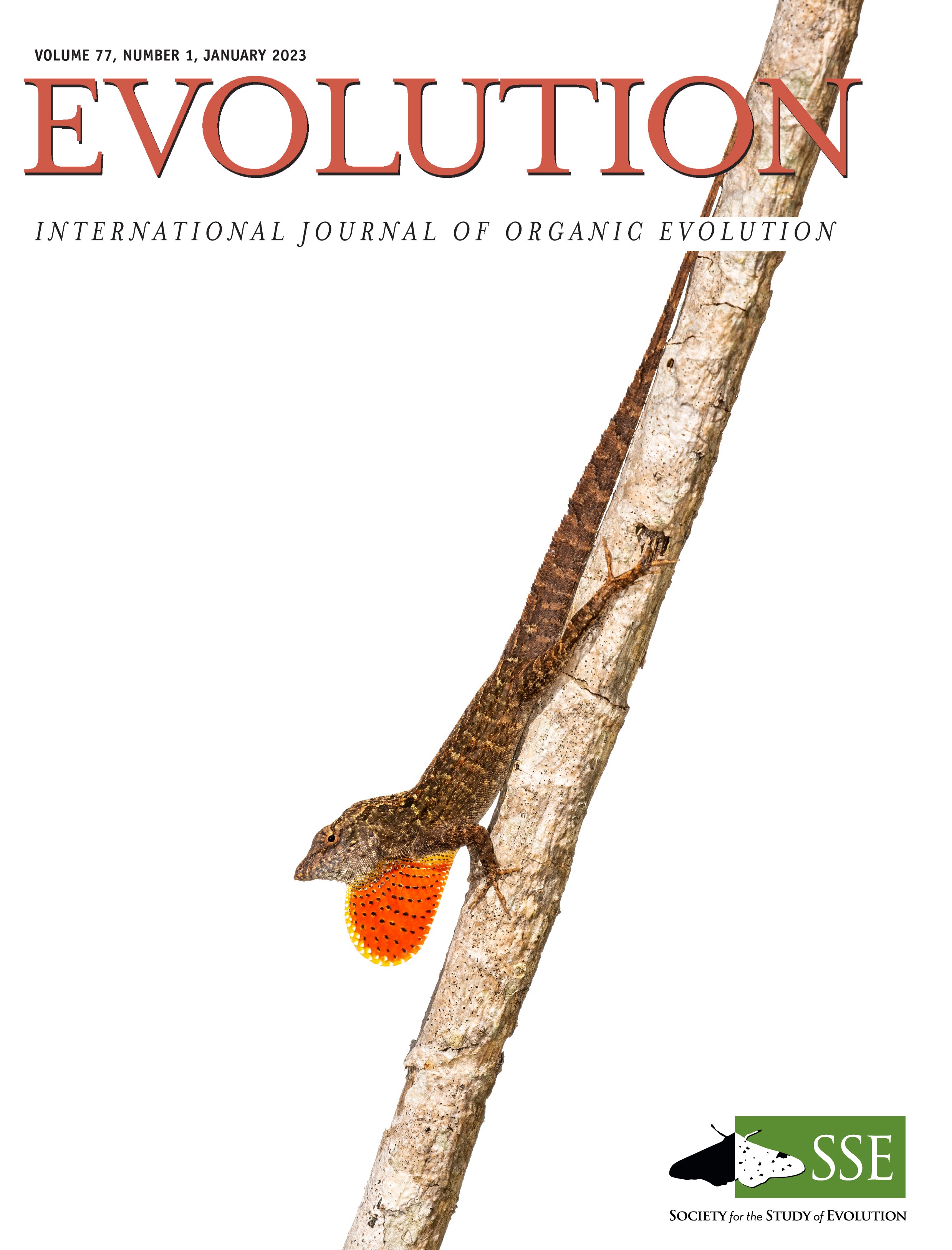 Evolution Journal Logo