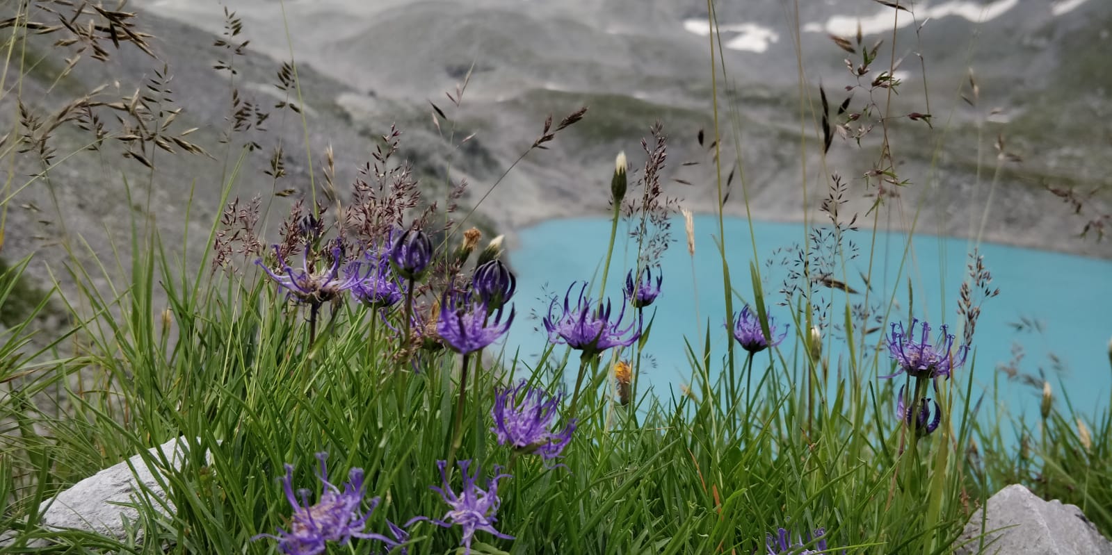 Nature Photo 4